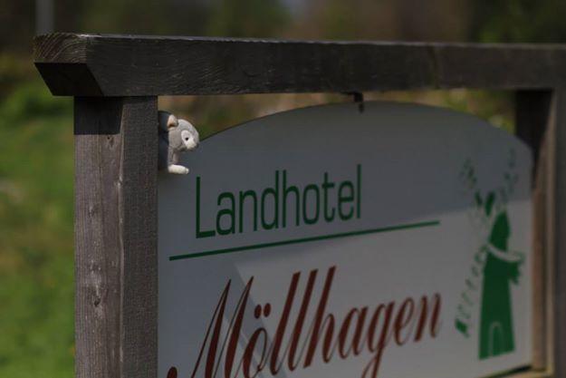 Landhotel Moellhagen Schulp bei Nortorf Ngoại thất bức ảnh